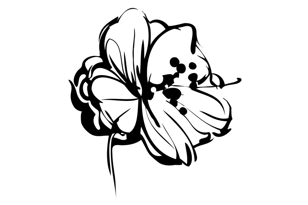 Sketch of bud of blossoming out flower - Vector, Image