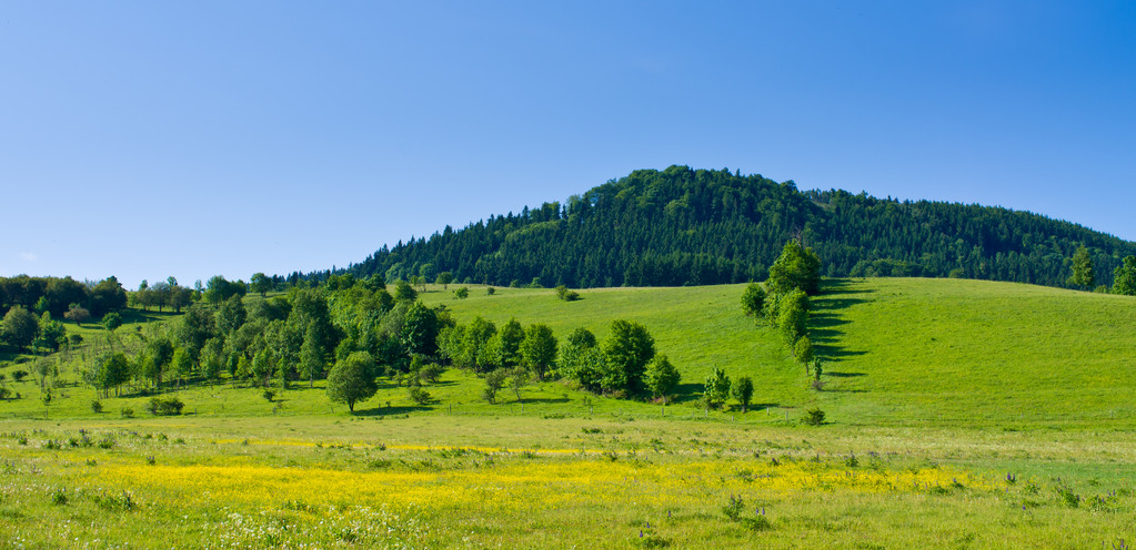 Blumenwiese und Hügel - Foto, Bild