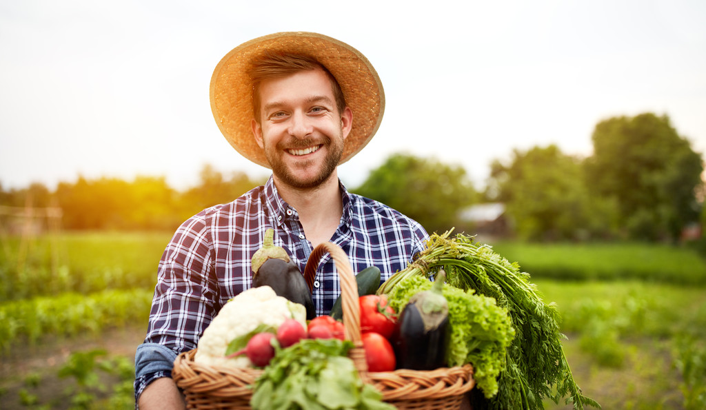陽気な兼業農家の有機野菜 - 写真・画像
