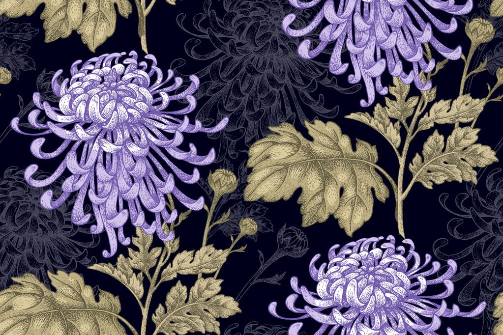 Naadloos patroon met chrysant bloemen. - Vector, afbeelding