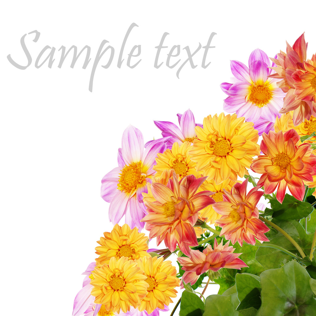 花の装飾的な美しいカード - 写真・画像