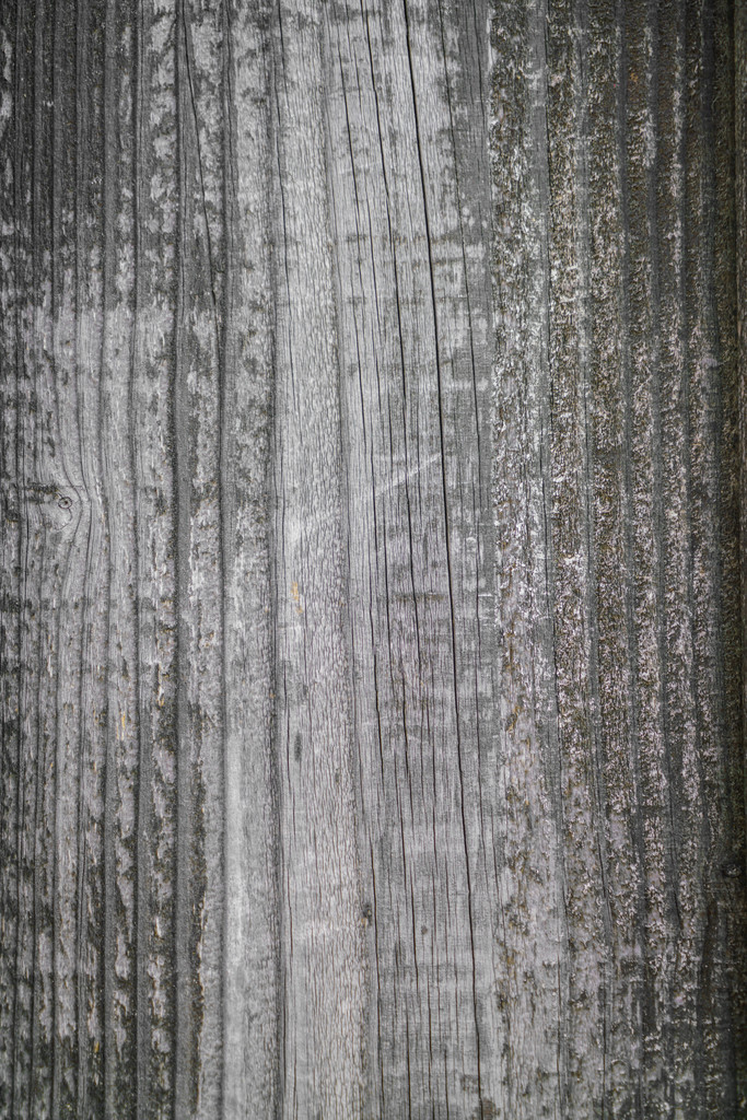 Picture of Wood texture background - Photo, Image