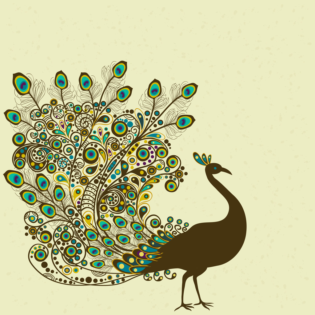 Peacock - Vector, Image