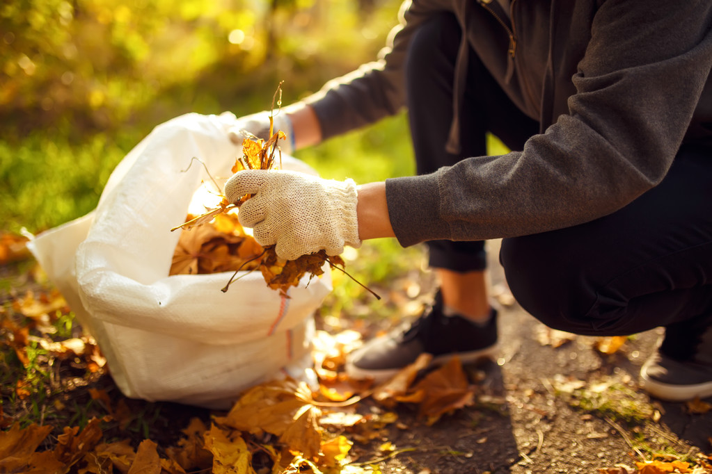 giovane ragazzo pulisce foglie cadute
 - Foto, immagini