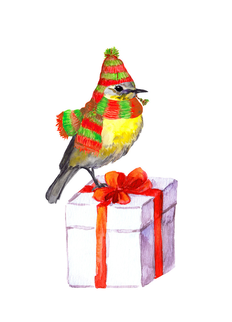 Vogel mit Wintermütze, Schal. Weihnachtsgeschenkbox. Aquarell - Foto, Bild