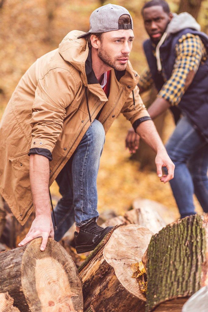 Hombres jóvenes cerca de tocones secos en el bosque
 - Foto, Imagen