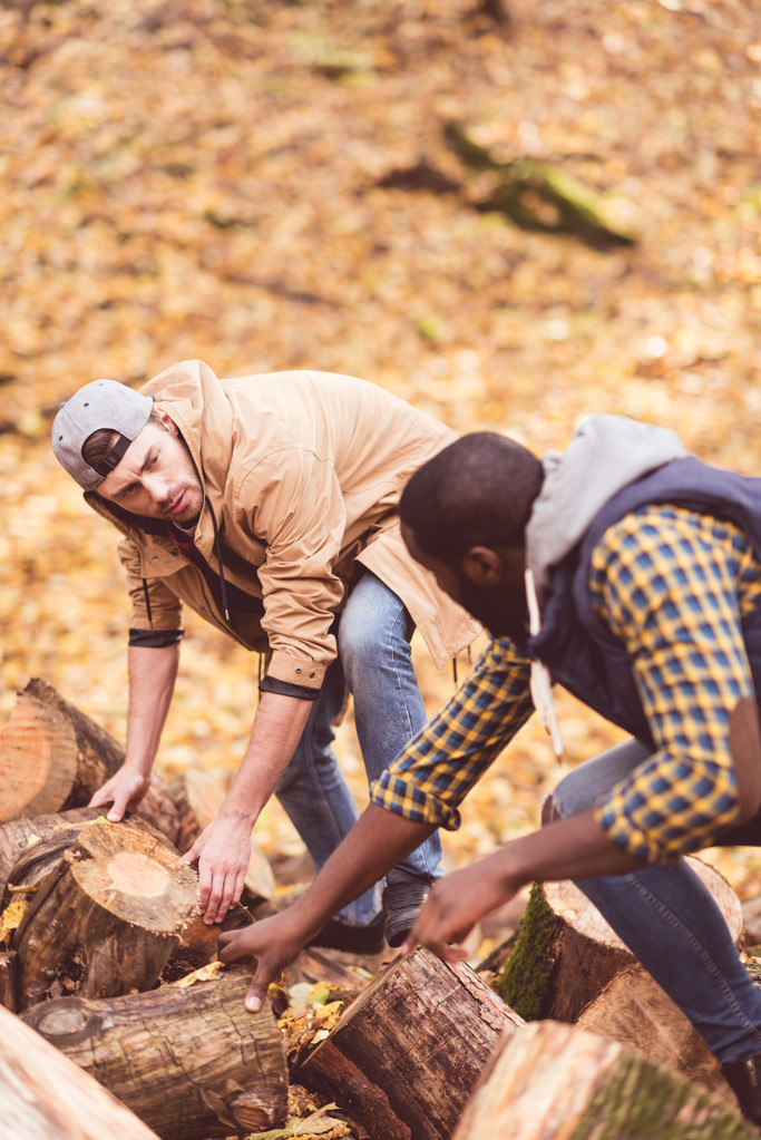 Fiatal férfiak száraz tuskók, erdő közelében - Fotó, kép