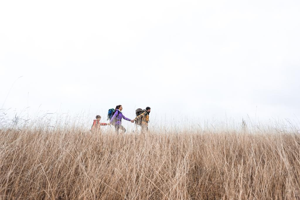Счастливая семья с рюкзаками ходить по траве
 - Фото, изображение