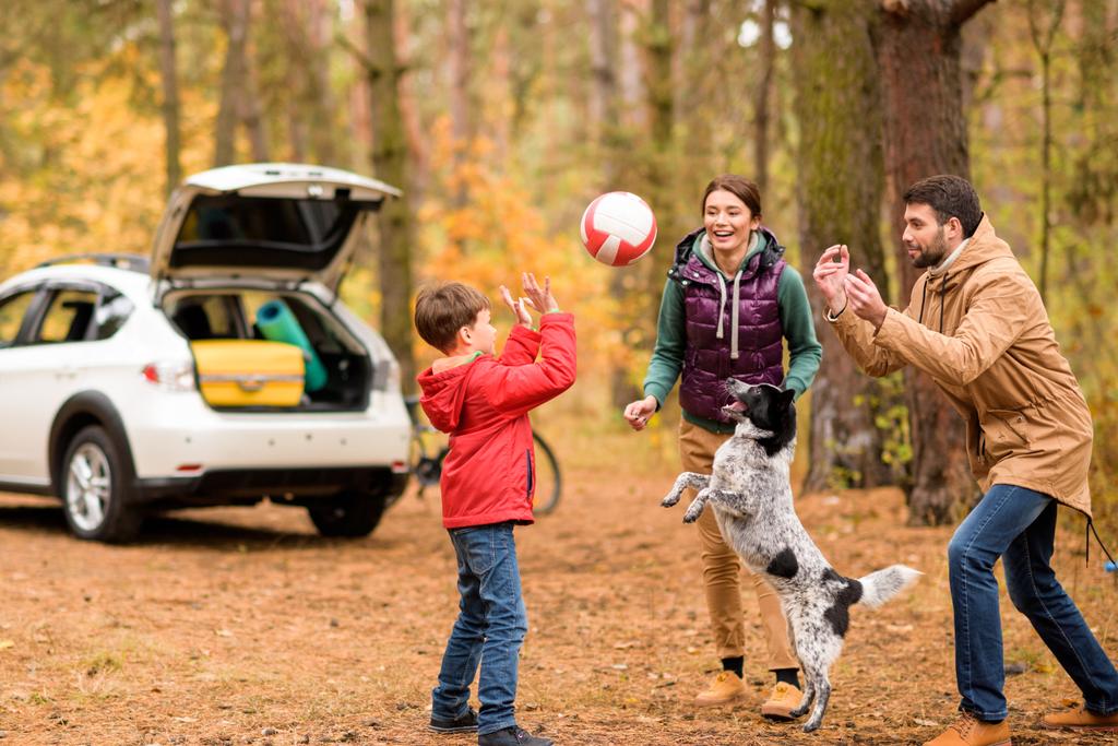 Família feliz jogando com bola
  - Foto, Imagem