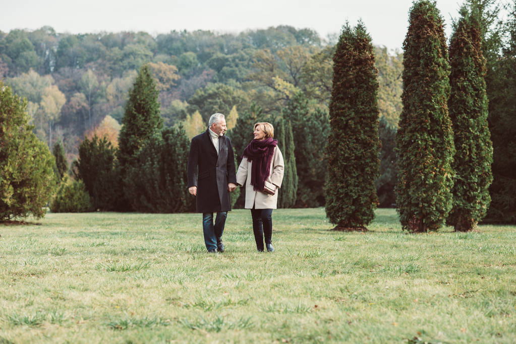 Ώριμη ζευγάρι περπατά μέσα στο φθινόπωρο πάρκο - Φωτογραφία, εικόνα