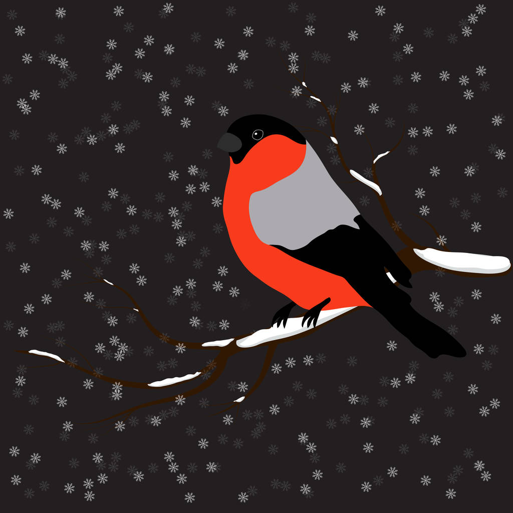Bullfinch on the fir branch, snowfall. Winter or christmas vector illustration - Vector, Image