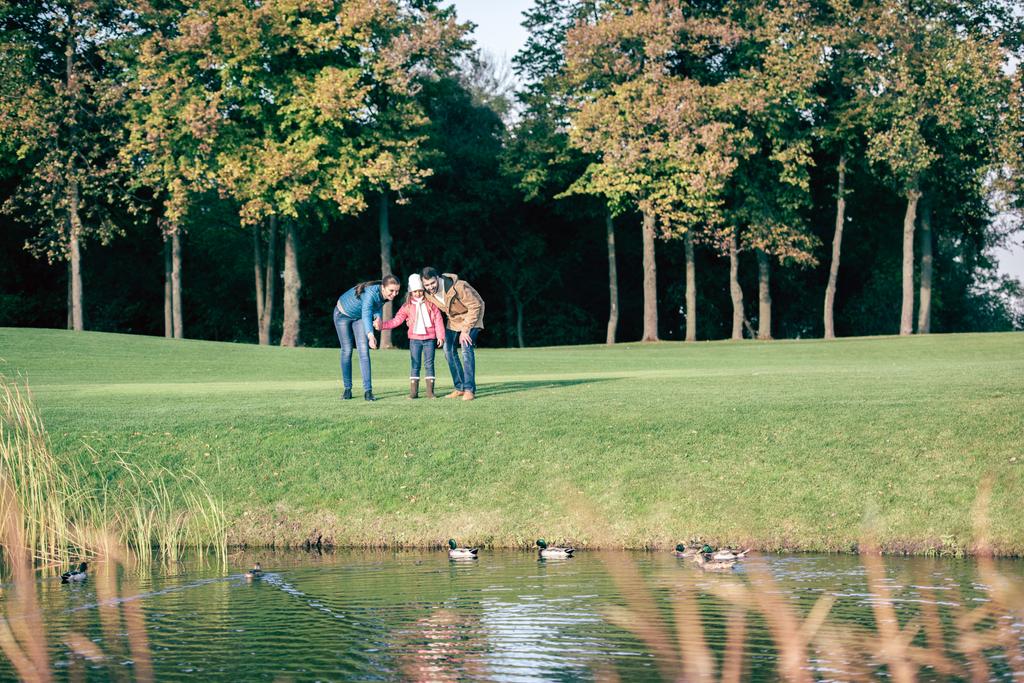 Счастливая семья смотрит на уток в парке
 - Фото, изображение
