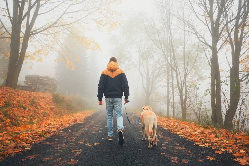 Mężczyzna z psem w jesień natura - Zdjęcie, obraz