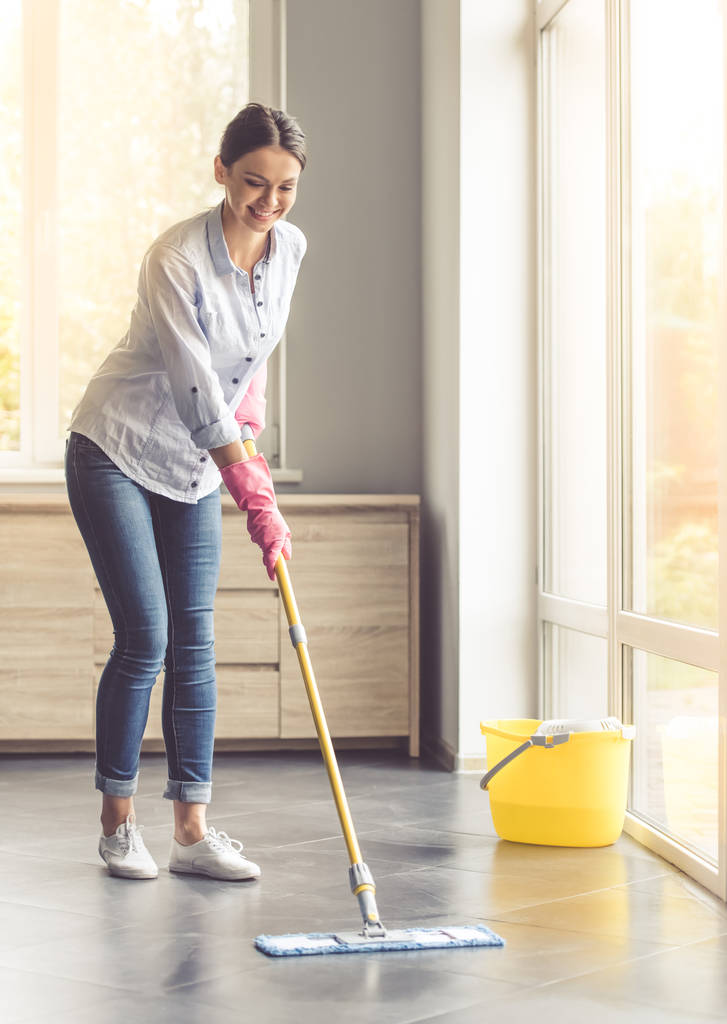 Femme nettoyant sa maison
 - Photo, image