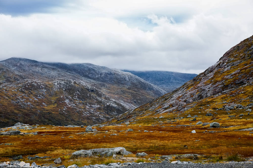 Natura w Norwegii, wyspie Senja - Zdjęcie, obraz