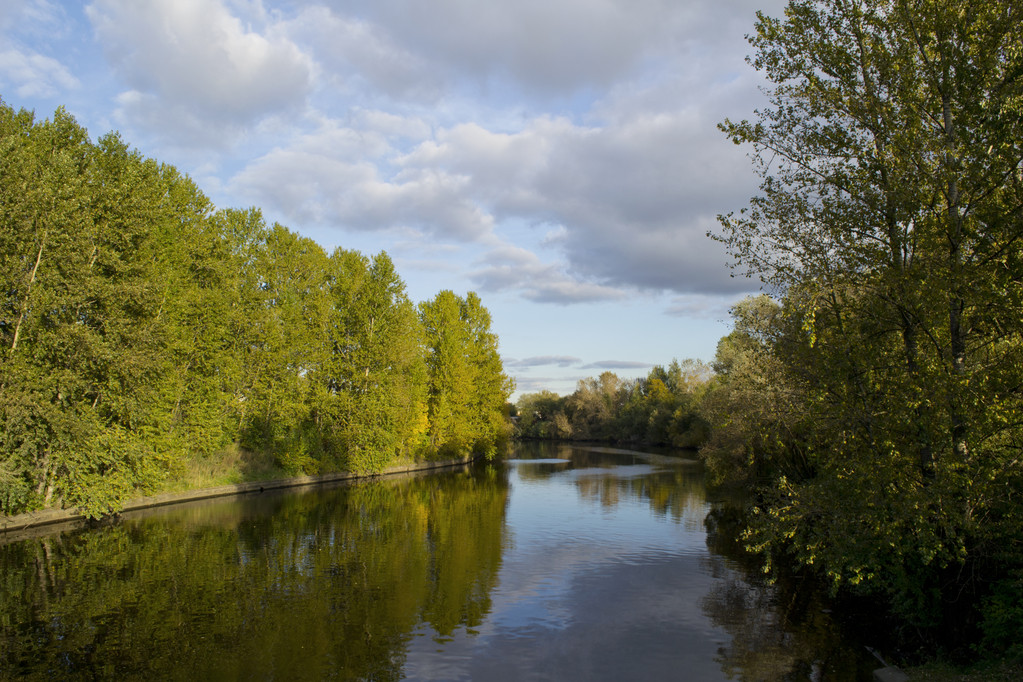 Ohta river in early autumn, Saint-Petersburg, Russia - Photo, Image