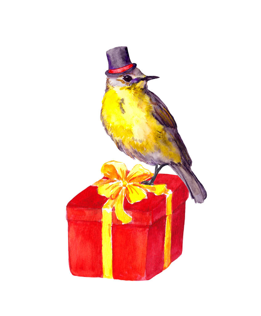 赤いプレゼント ボックスにシルクハットの鳥。水彩 - 写真・画像
