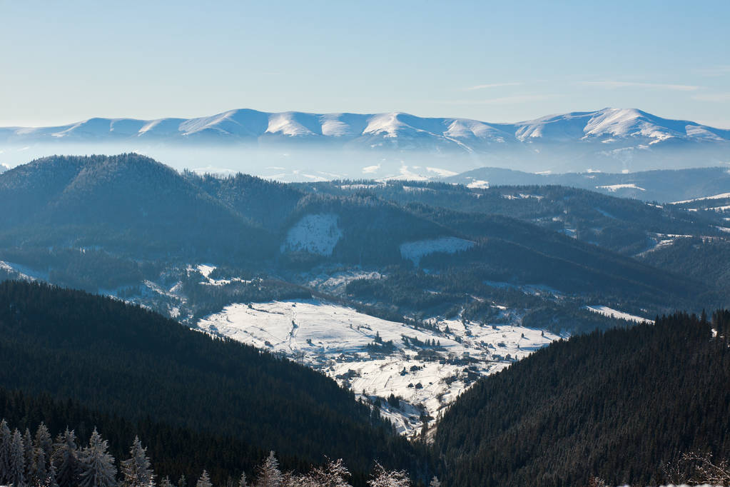 Zima Krajobraz snow góry sosnowego lasu w słońcu - Zdjęcie, obraz