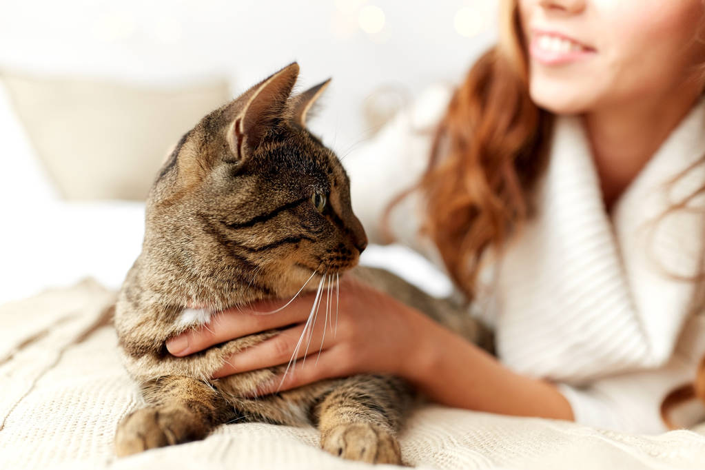happy young woman with cat lying in bed at home - Photo, Image
