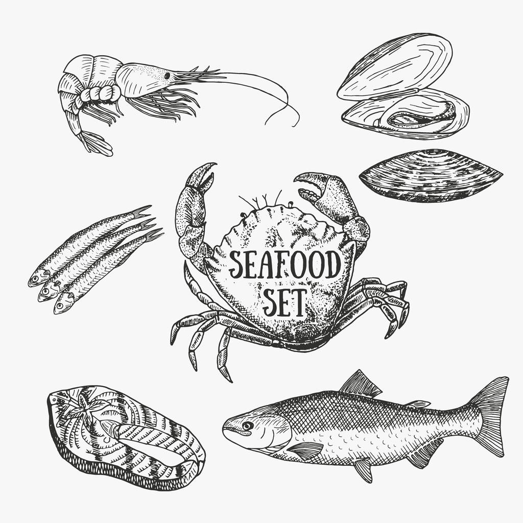 Kreatív tengeri készlet. Vektoros illusztráció. Vázlat tartalmaz garnéla, rák, osztriga, lazac, lazac steak és a sprattra. Grafikus objektumok használt reklám tenger gyümölcsei, halak piaci vagy étterem étlap. - Vektor, kép