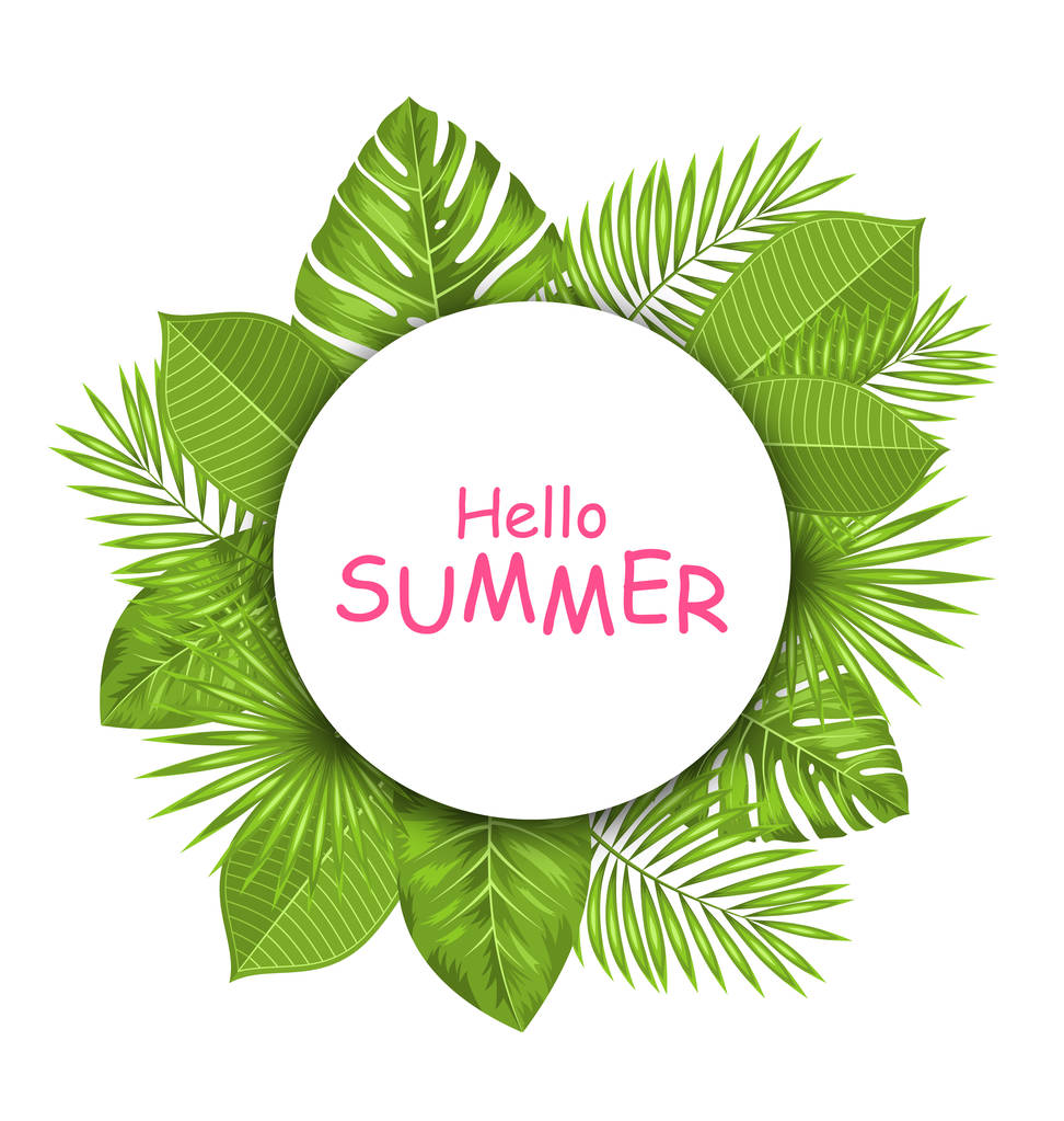 Літня красива листівка з зеленим тропічним листям для дизайну
 - Фото, зображення