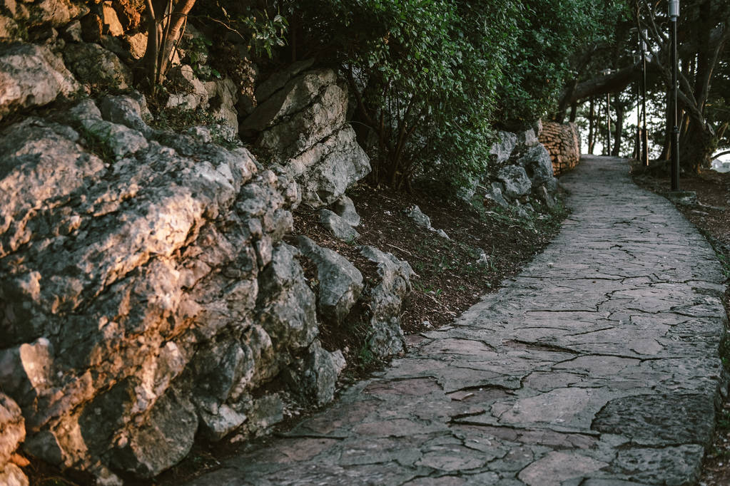 モンテネグロ、Budva リビエラ スヴェティ島の横にある公園  - 写真・画像