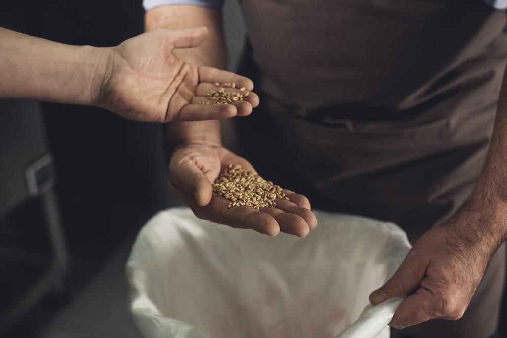 Bira işçi tahıl teftiş - Fotoğraf, Görsel