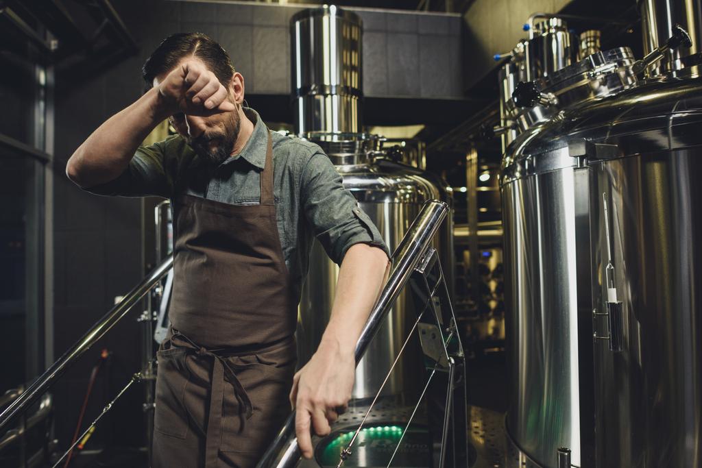 masculino cervejaria trabalhador no avental
 - Foto, Imagem