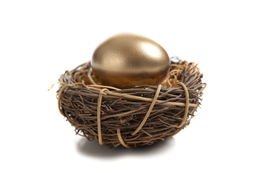 złote jajka w gnieździe - Zdjęcie, obraz