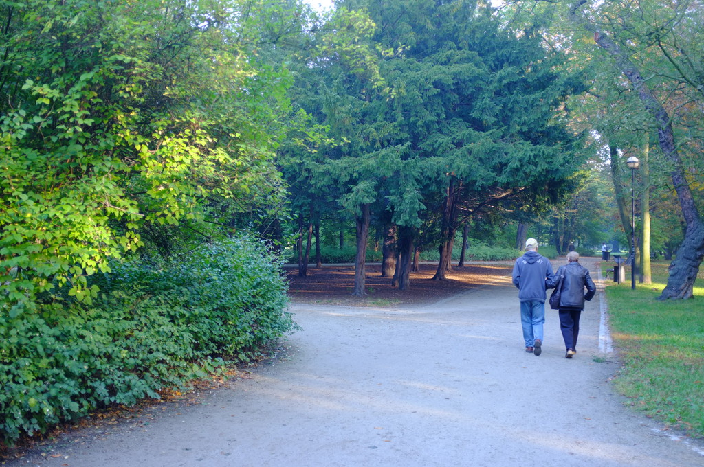 coppia anziana nel parco - Foto, immagini