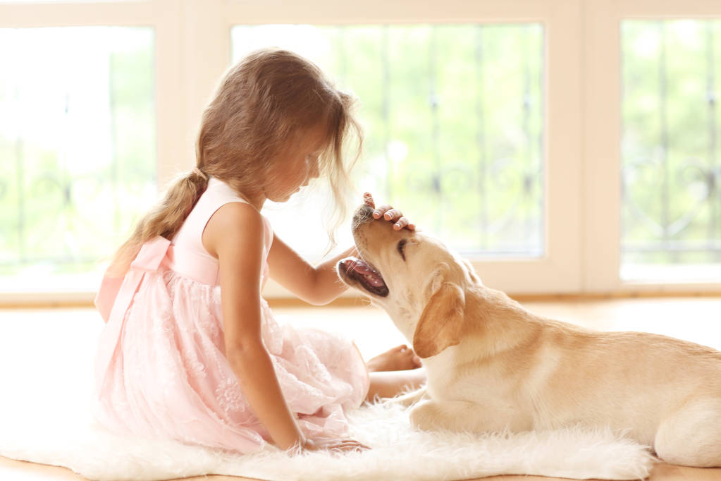 Little girl with golden Labrador dog in room - Photo, Image