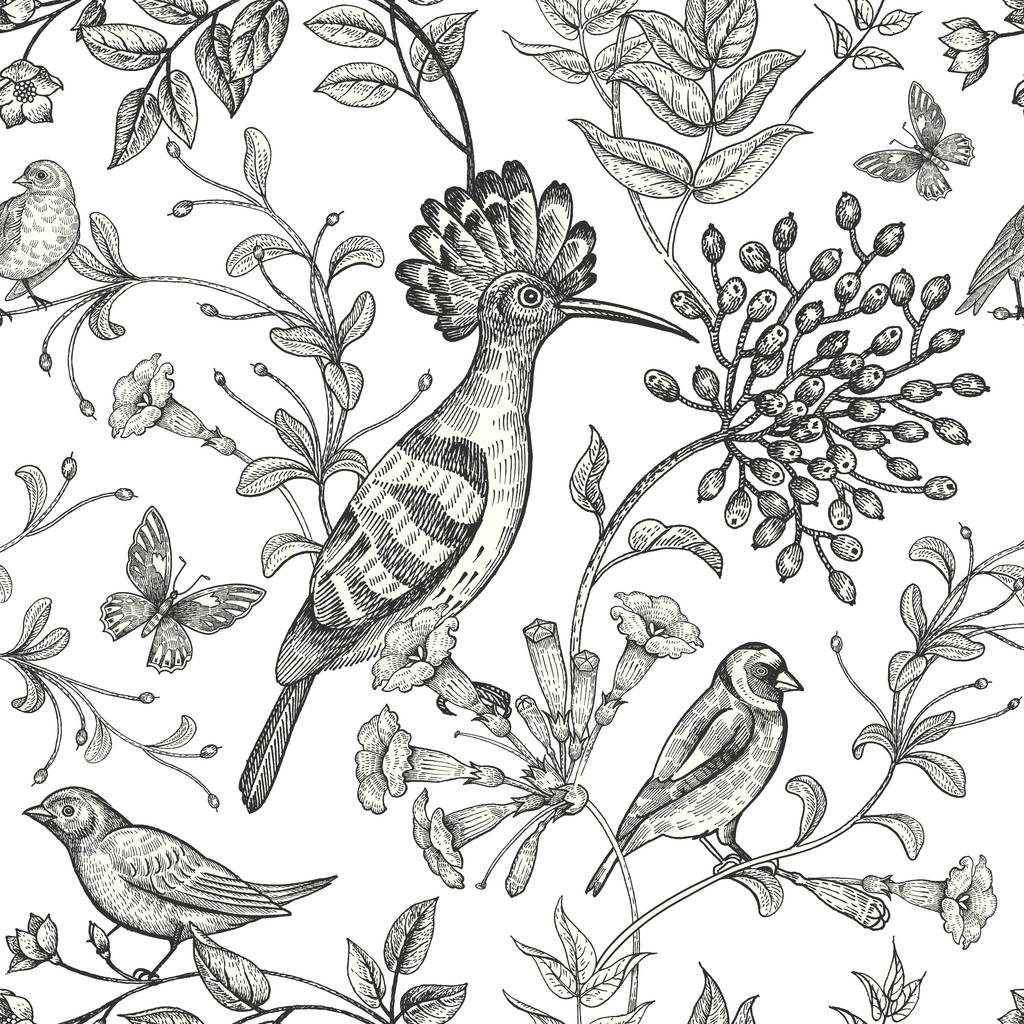 nahtloses schwarz-weißes Muster mit Vögeln und Blumen. - Vektor, Bild