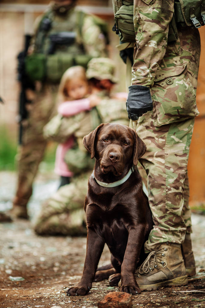 Militar homem abraços cão
 - Foto, Imagem