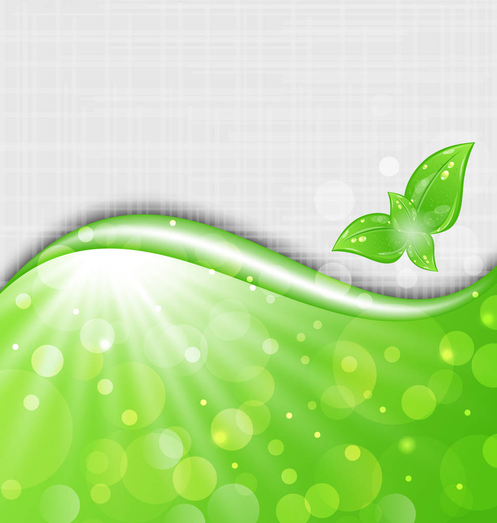 Umweltfreundlicher Hintergrund mit Blättern - Foto, Bild