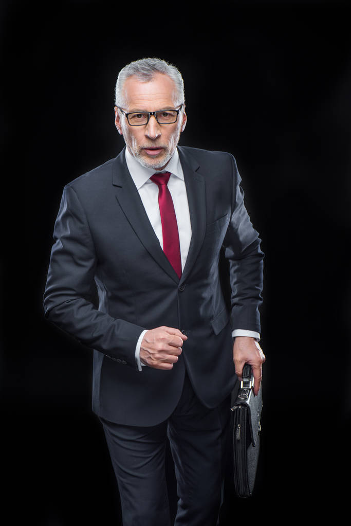 Businessman holding briefcase - Photo, Image