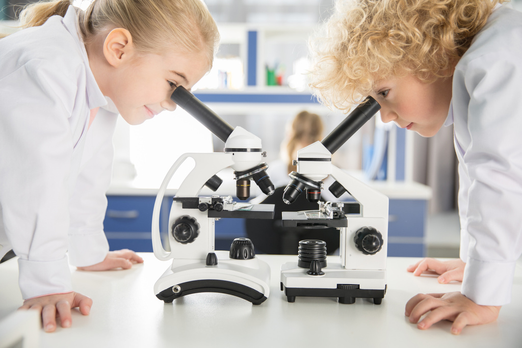 Studenti che utilizzano microscopi
     - Foto, immagini