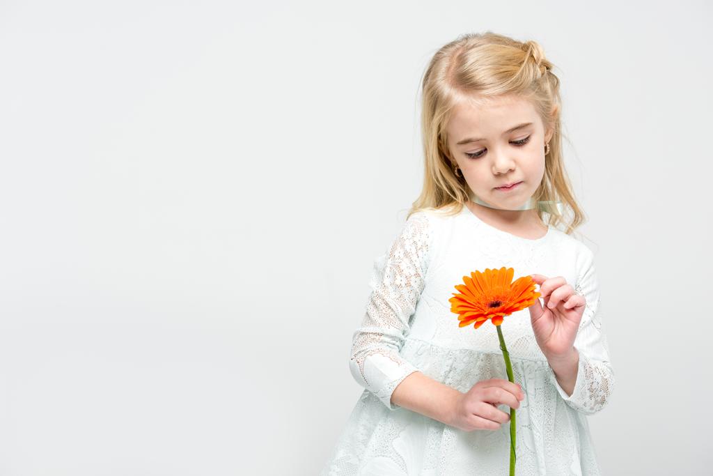 Girl with gerbera flower - Photo, Image