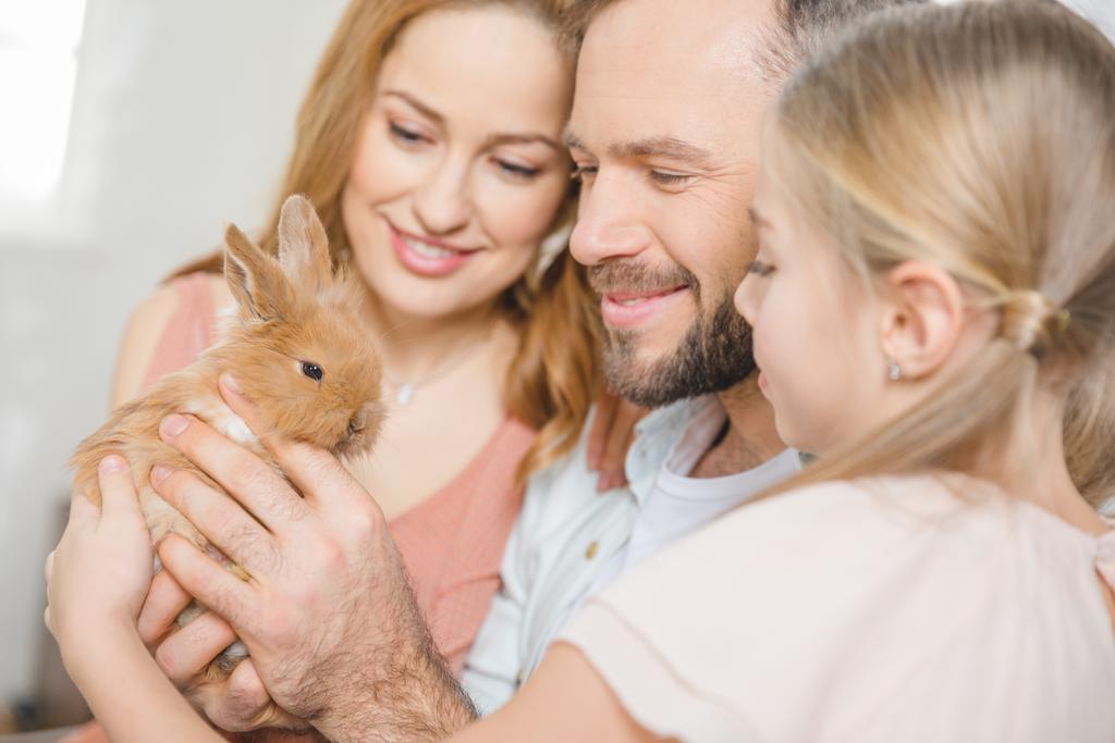 Gelukkige familie met konijn - Foto, afbeelding