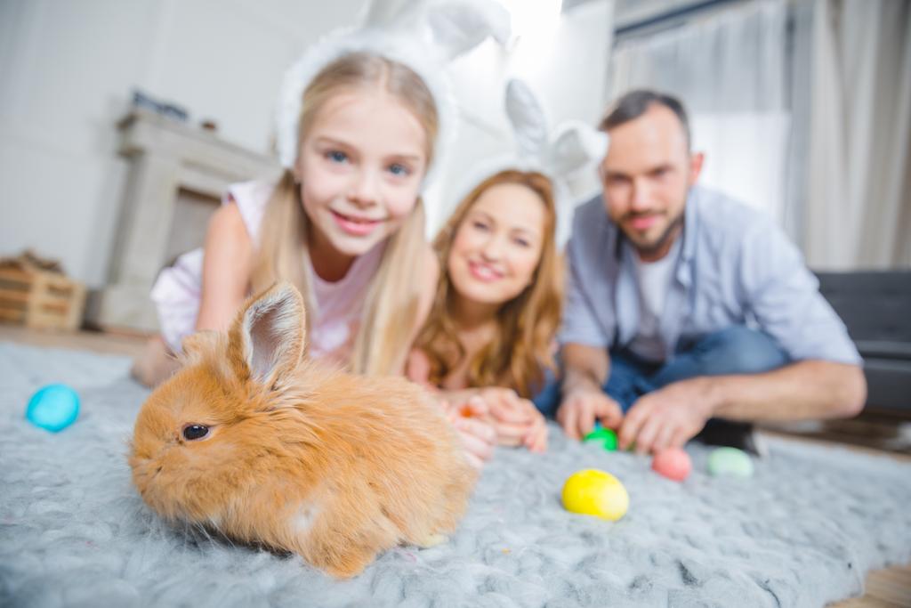 Famiglia giocare con coniglio
 - Foto, immagini