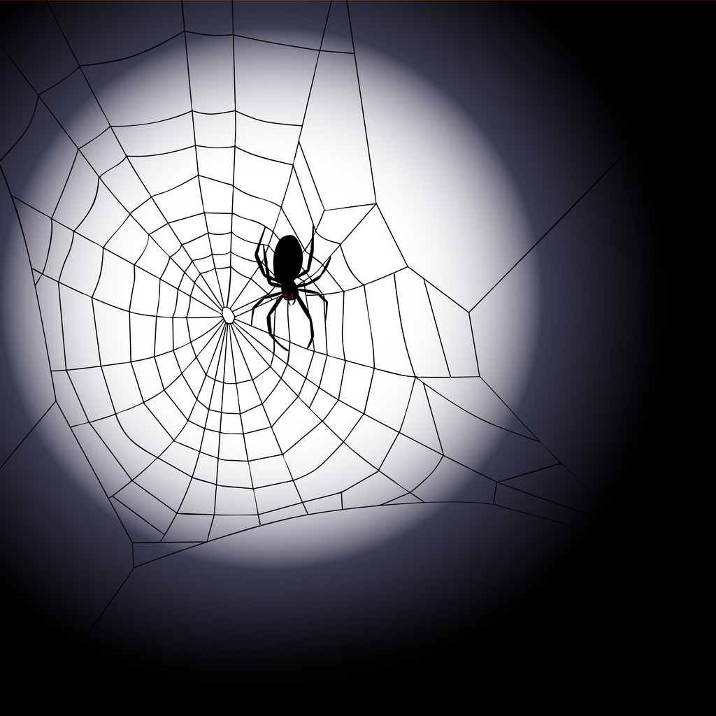 Vector illustration of spiders web - Vector, Image