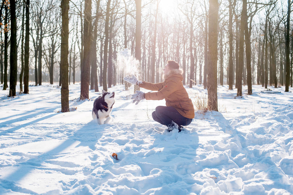 雪の降る公園でシベリアン ハスキー犬と遊ぶ男 - 写真・画像