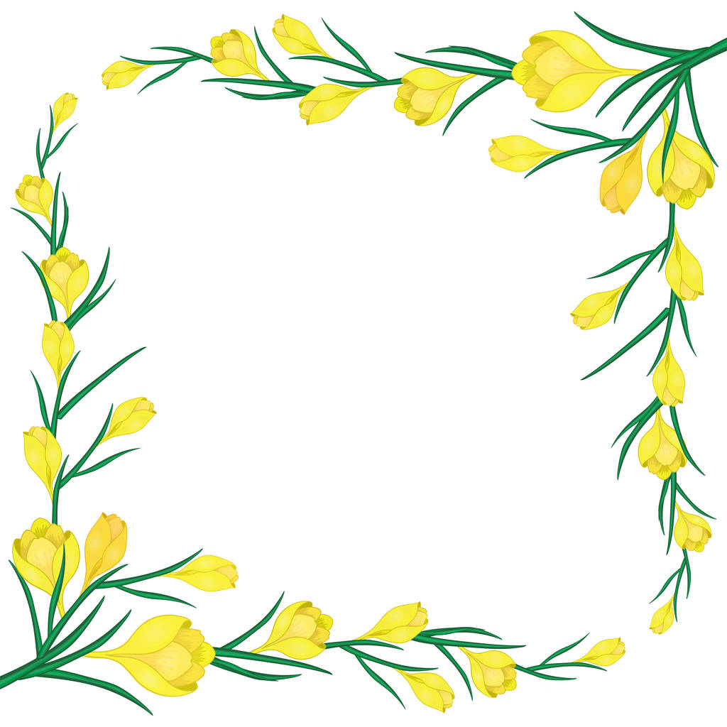 frame with yellow crocuses-01 - Vector, Image