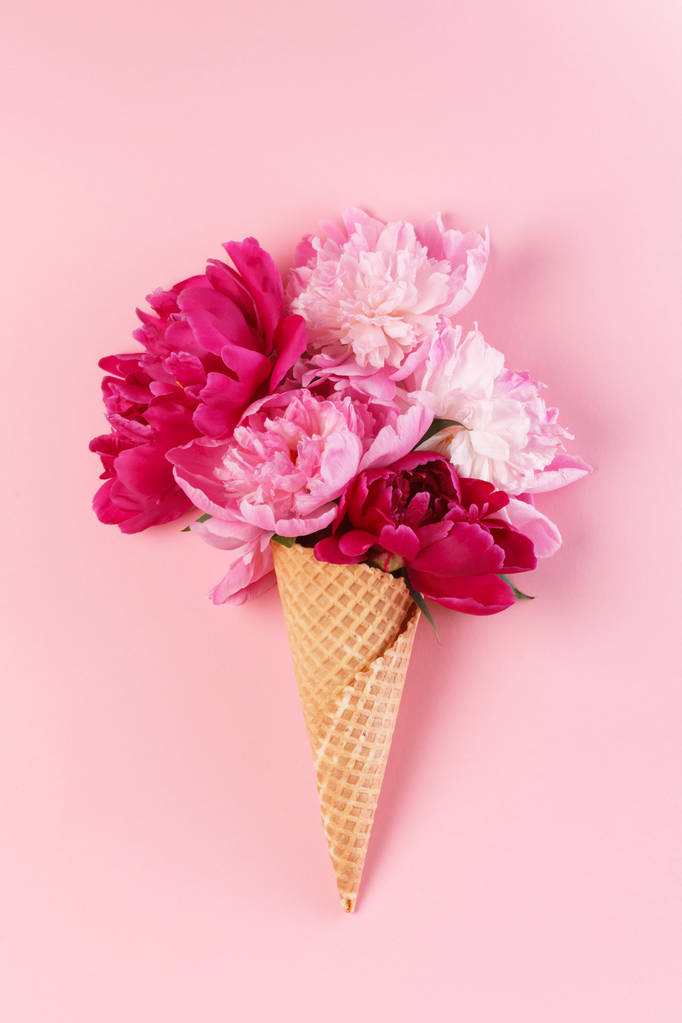 Flores de peônia rosa
 - Foto, Imagem