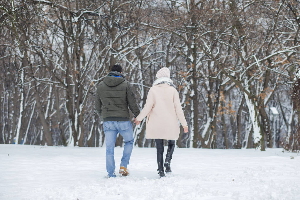 Onnellinen pari kävelee talvipuistossa
  - Valokuva, kuva