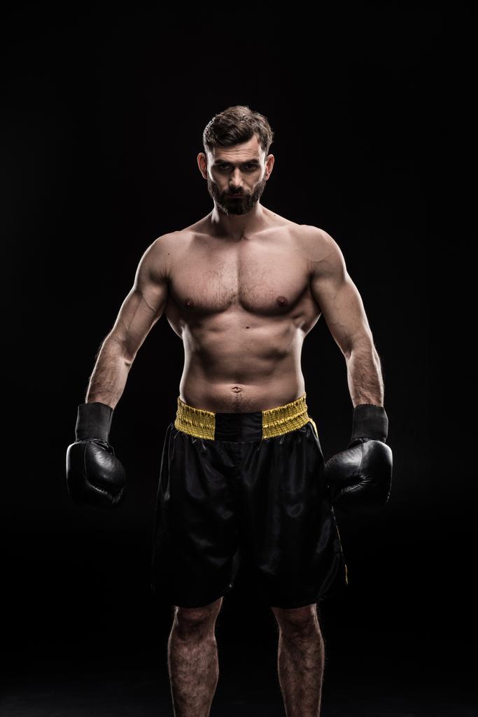 Esportista em luvas de boxe
 - Foto, Imagem