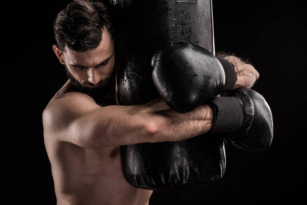 Boxer s boxovací pytel - Fotografie, Obrázek