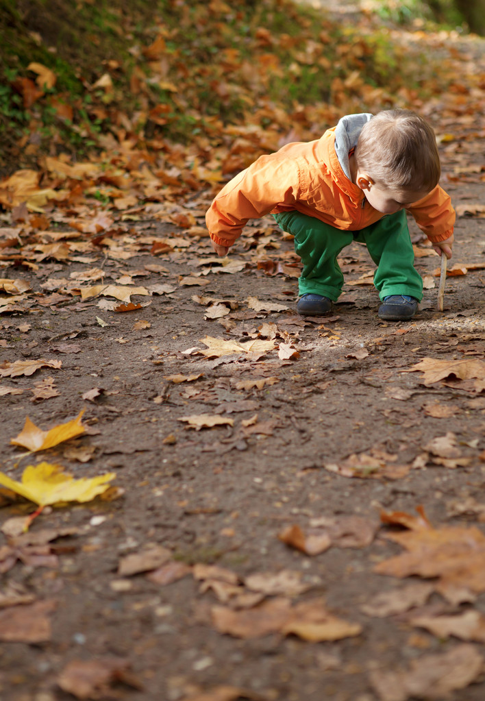 roztomilé batole boy v podzimním lese - Fotografie, Obrázek