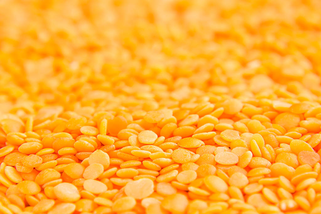 Red purified lentil macro background. - Photo, Image