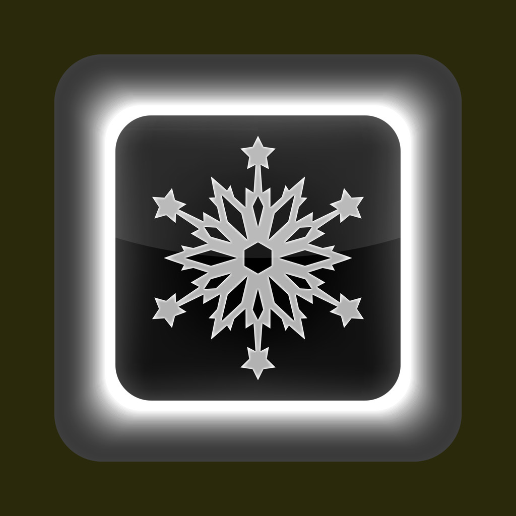 szürke fényes web gomb jel hópehely szimbólummal. - Vektor, kép