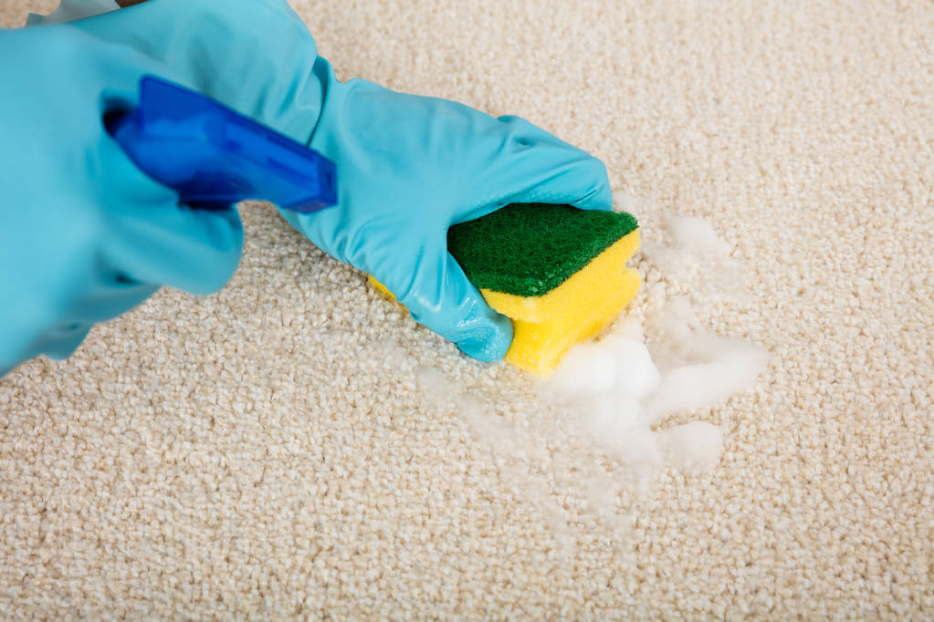 Person putzt Teppich - Foto, Bild